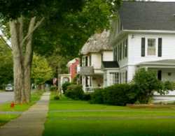 Albert Park Real Estate